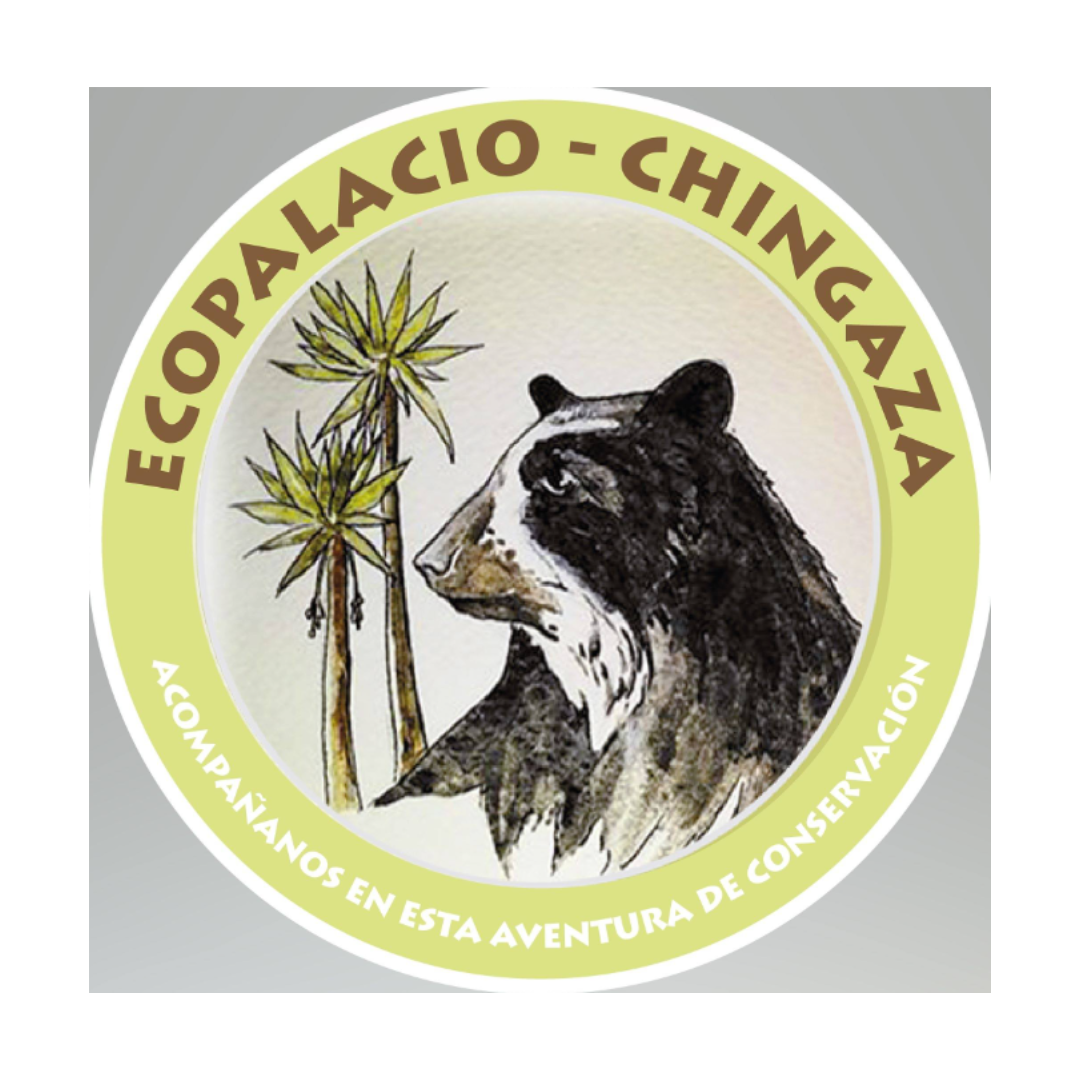 ECOPALACIO CHINGAZA