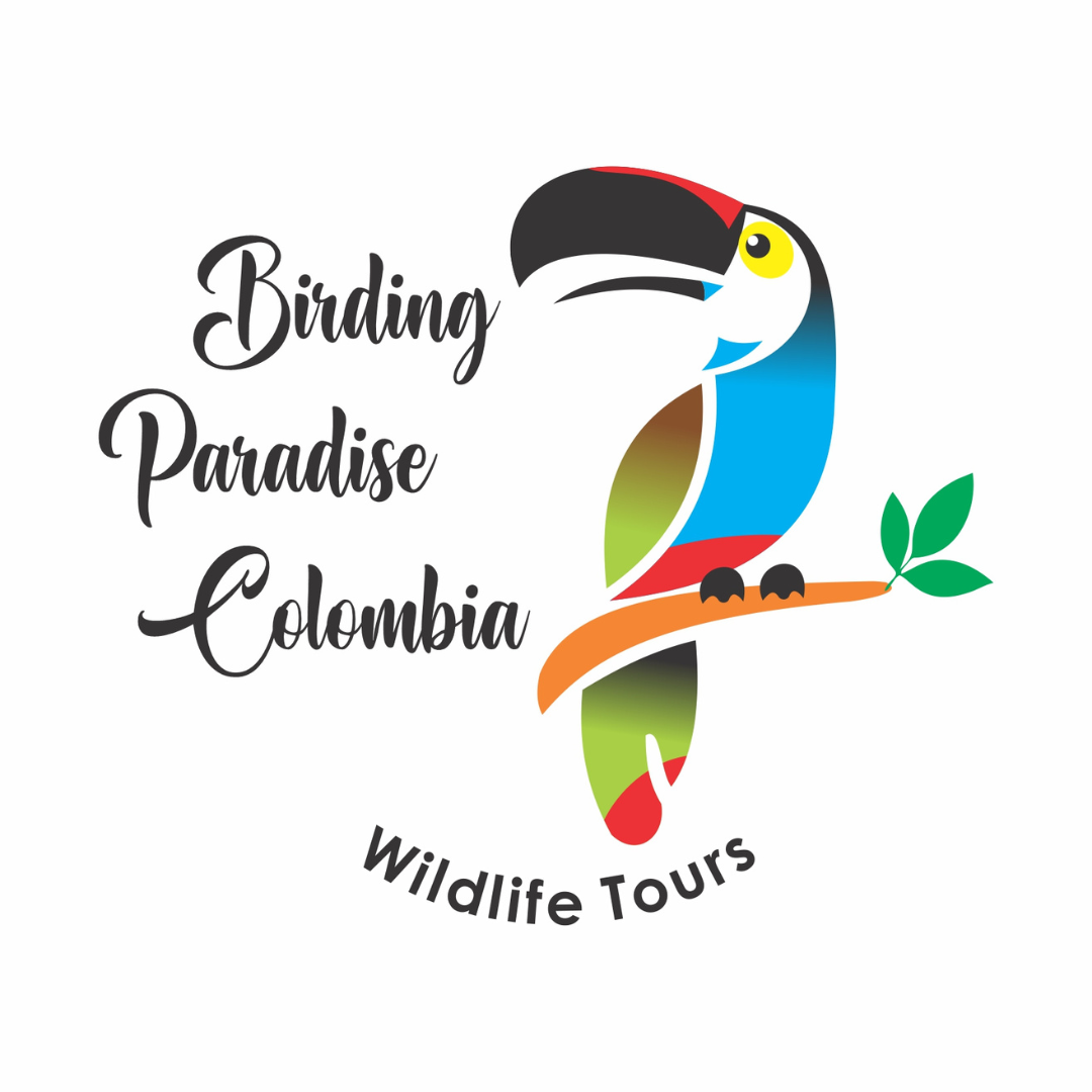BIRDING PARADISE COLOMBIA S.A.S