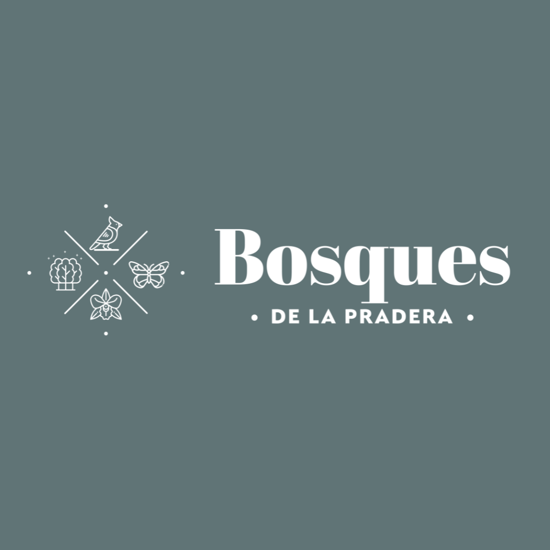 BOSQUES DE LA PRADERA