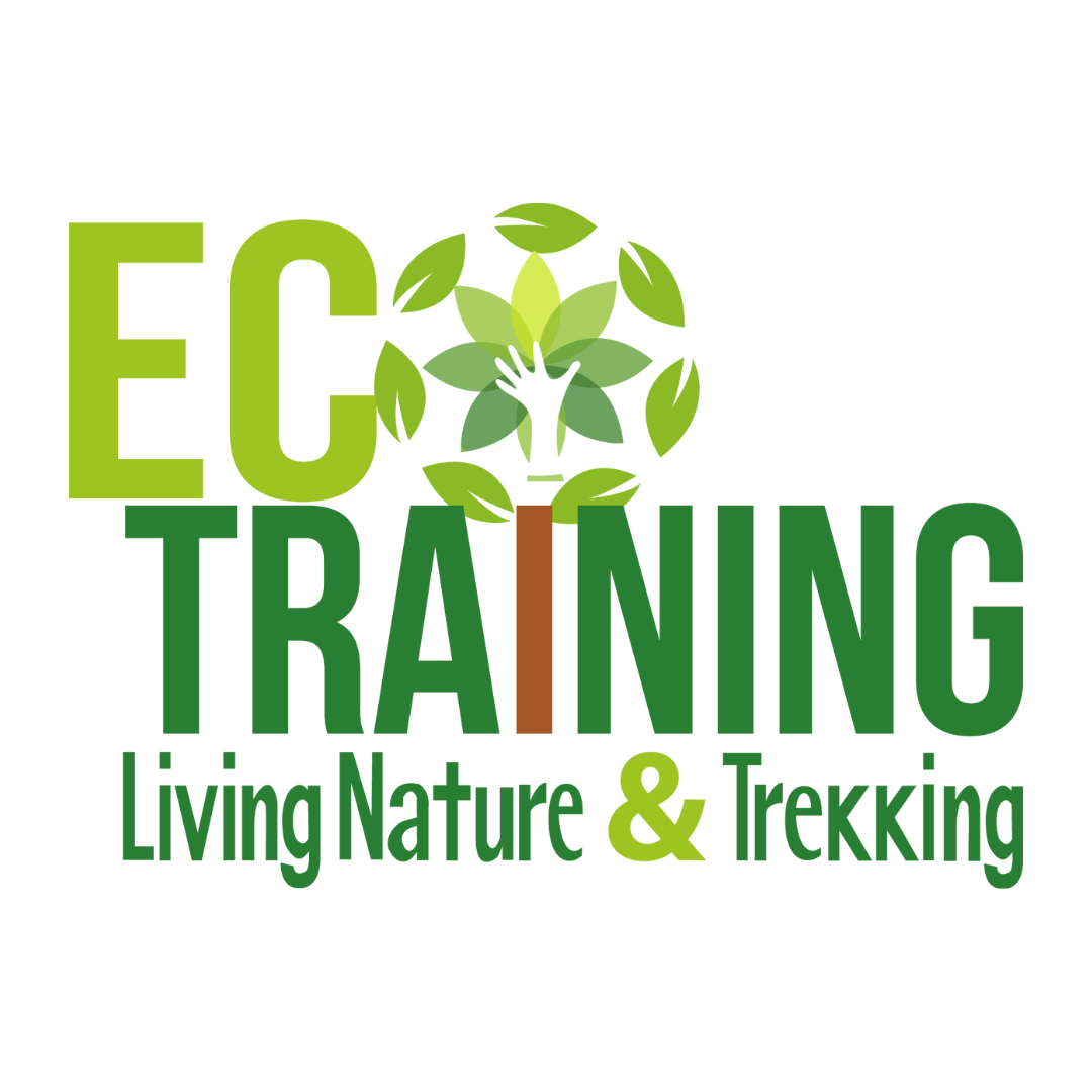 ECO TRAINING SAS