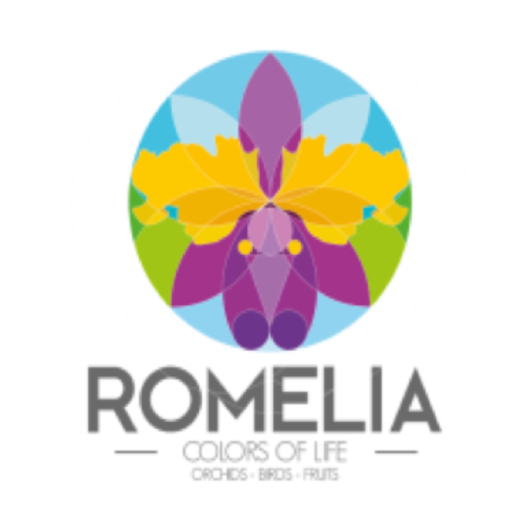FINCA ROMELIA ORCHIDS AND BIRDS