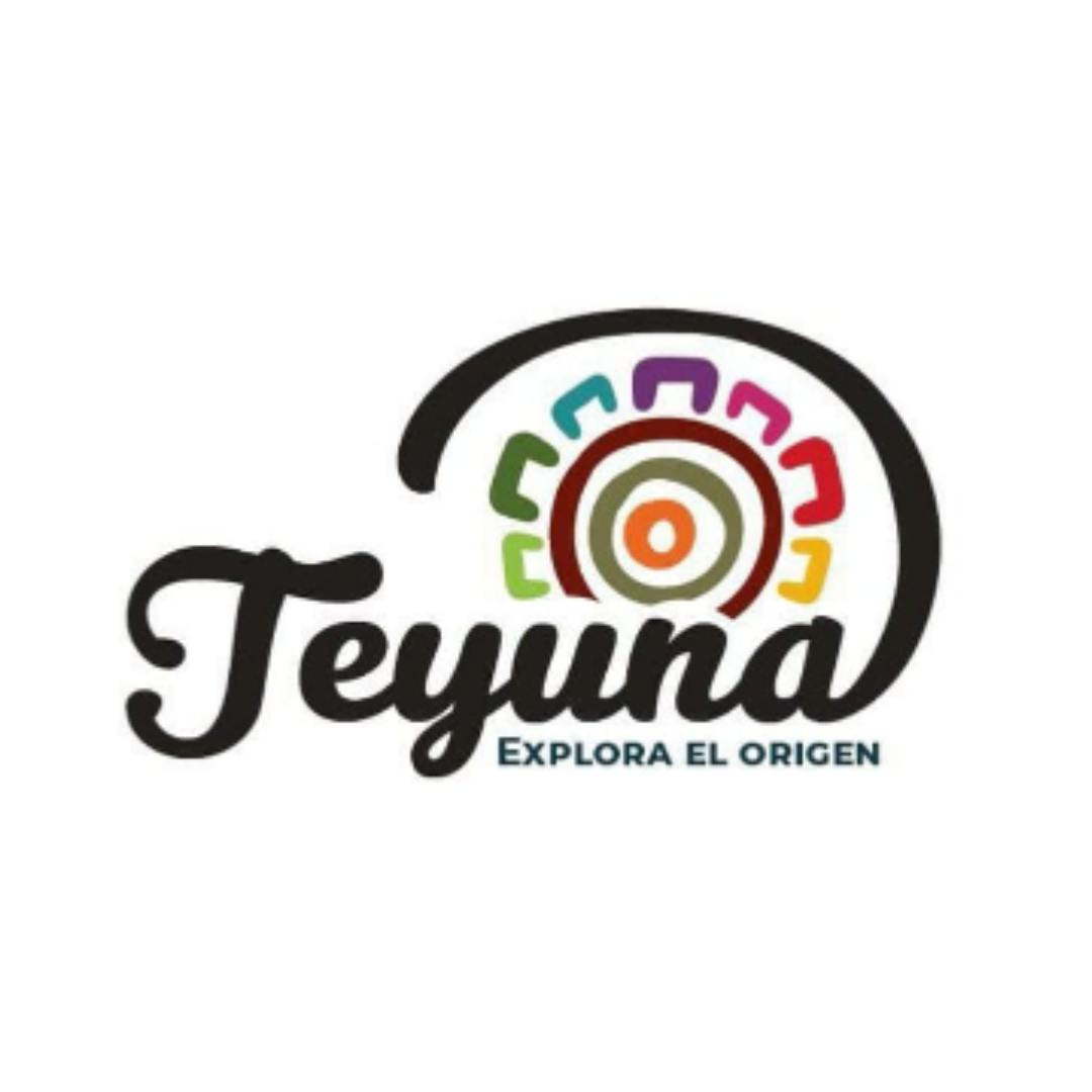 TEYUNA TOURS