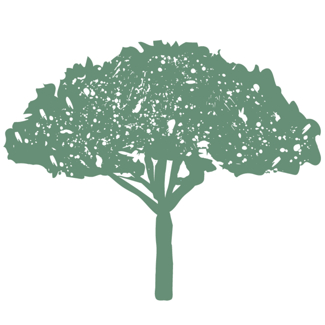 RESERVA FORESTAL LA GLORIA