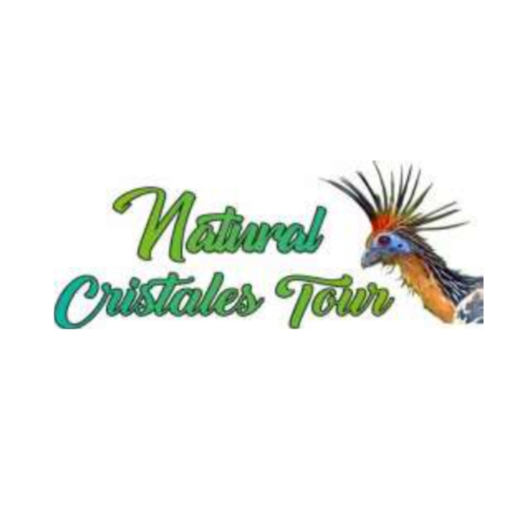 NATURAL CRISTALES TOURS