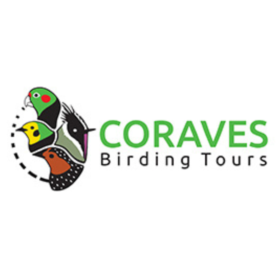 CORAVES BIRDING TOURS