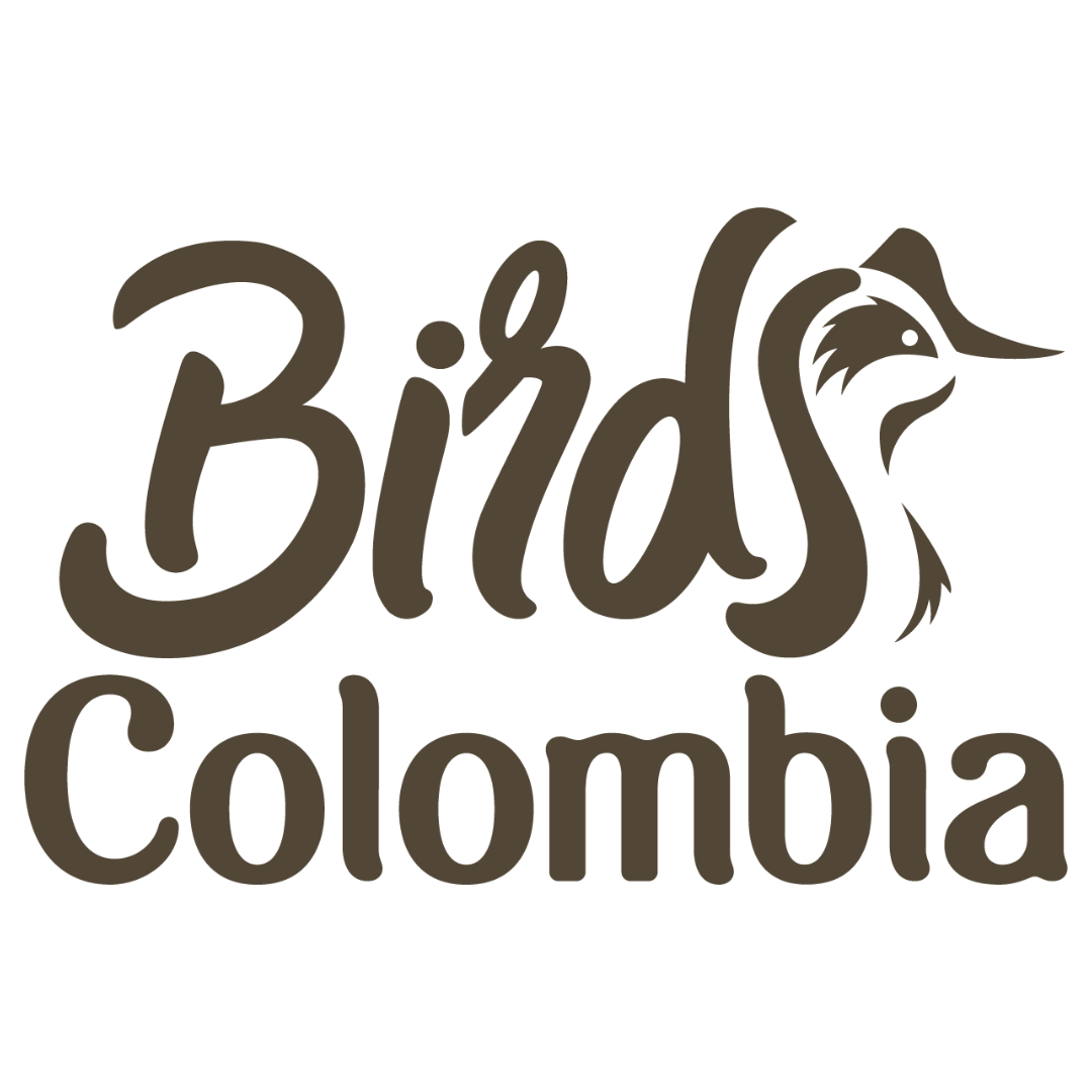 BIRDS COLOMBIA EXPERIENCE